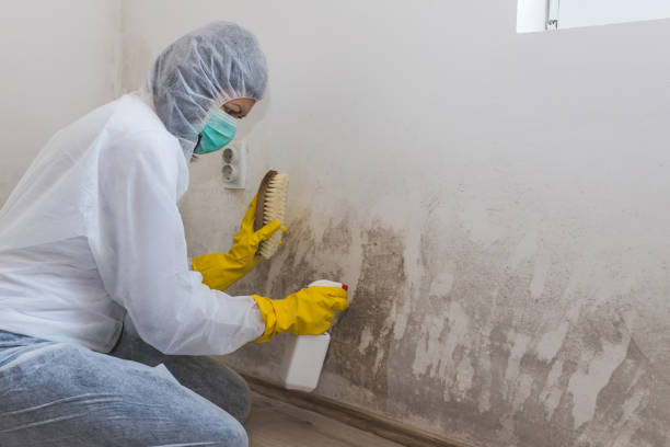Best Airborne Mold Testing  in Trophy Clu, TX
