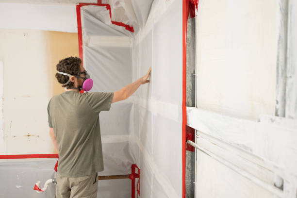 Best Mold Removal for HVAC Installations  in Trophy Clu, TX
