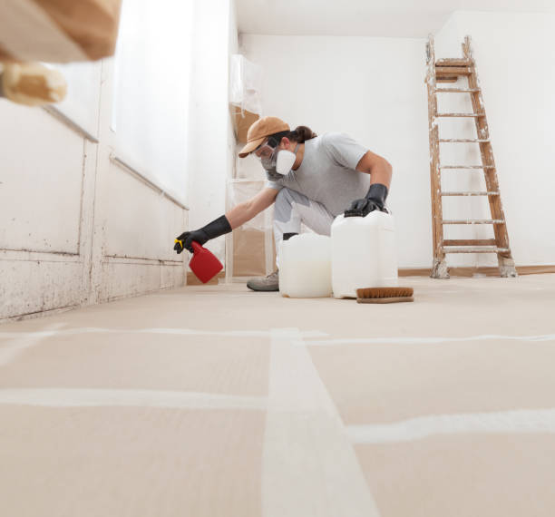 Best Dehumidification Services  in Trophy Clu, TX