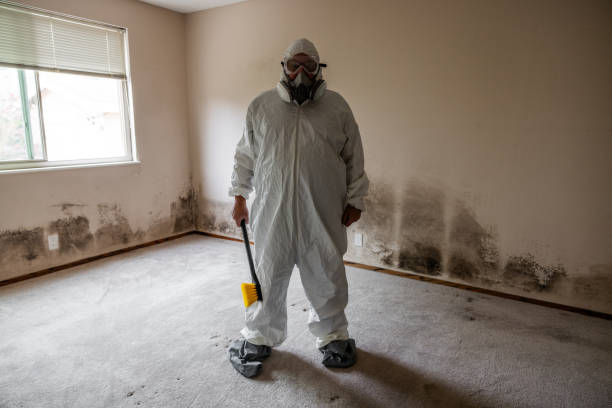 Best Post-Construction Mold Inspection  in Trophy Clu, TX